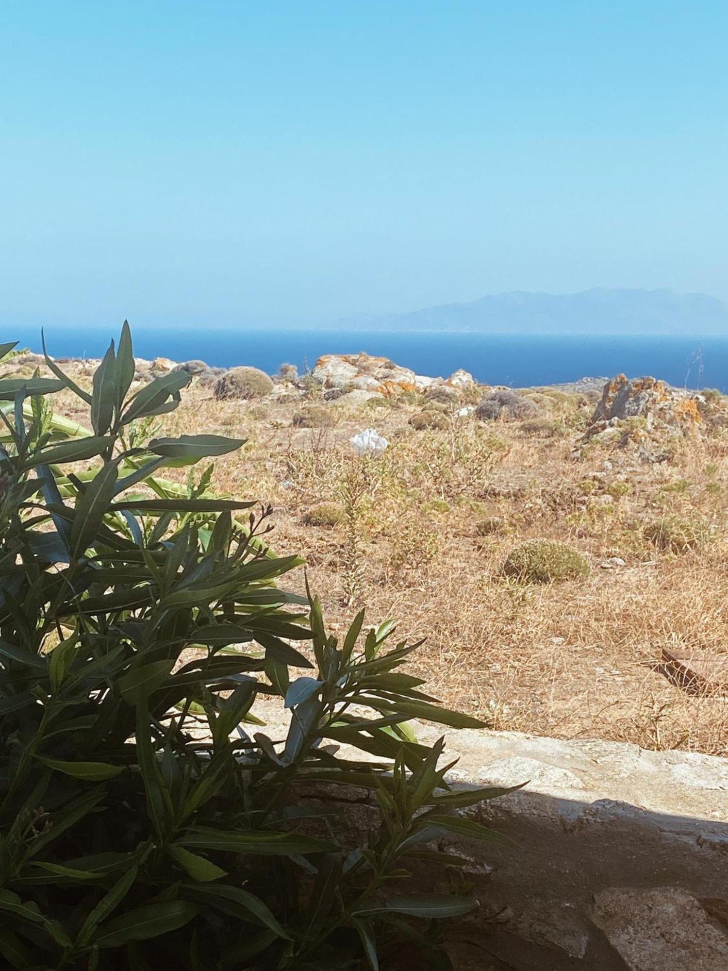 Naira Family Suites Mykonos Mykonos Town Kültér fotó